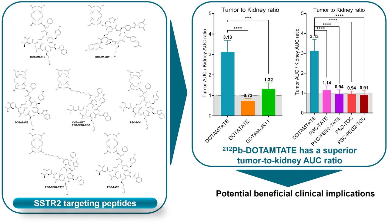 Side-by-Side Comparison of the In Vivo Performance of [²¹²Pb]Pb-DOTAMTATE and Other SSTR2-Targeting Compounds